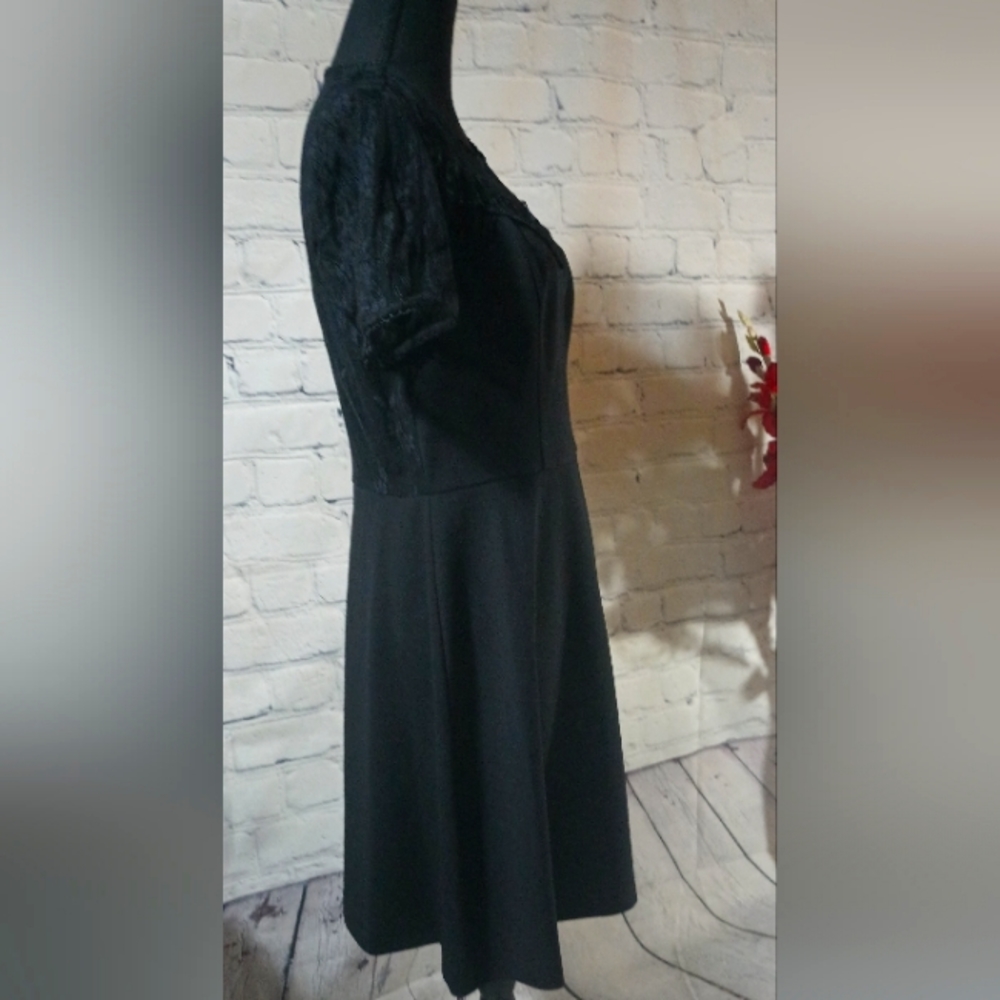 Short Sleeve Woven Lace Yoke Shift Dress Nanette Leopore Black - Picture 15 of 16